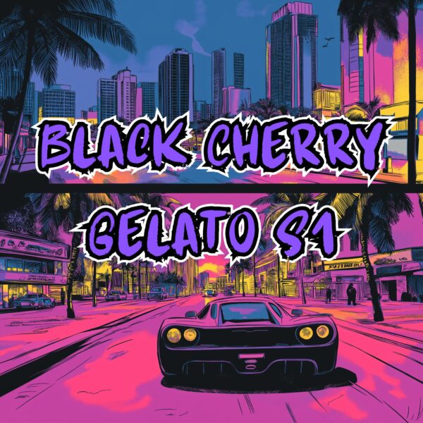 Black Cherry Gelato Strain Review and New S1 Seeds