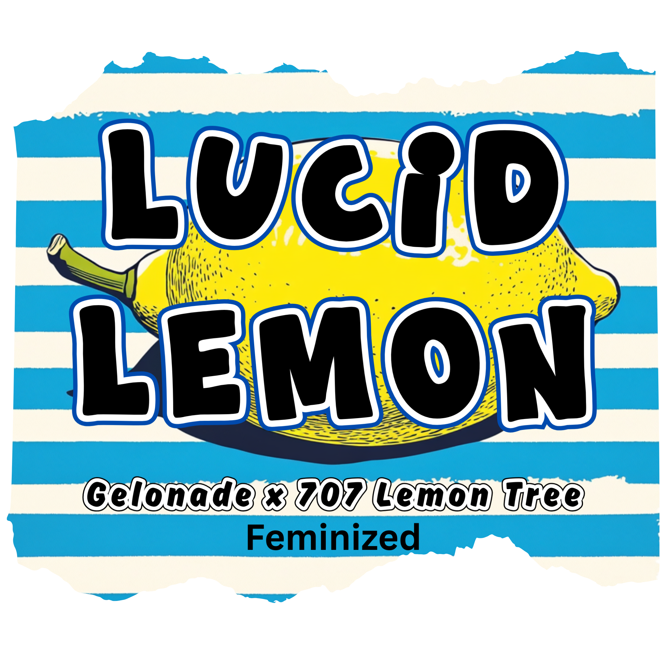 lucid lemon art