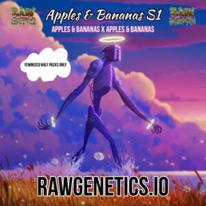 Apples & Bananas S1