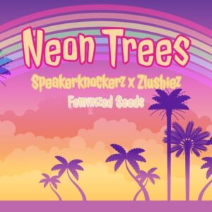 Neon Trees Strain by Raw Genetics x Pheno Addicts Seeds