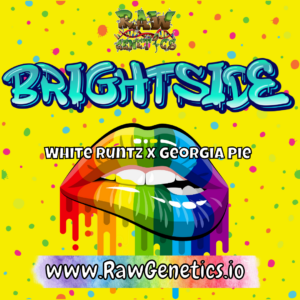 Brightside