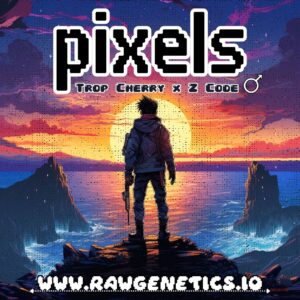 Pixels