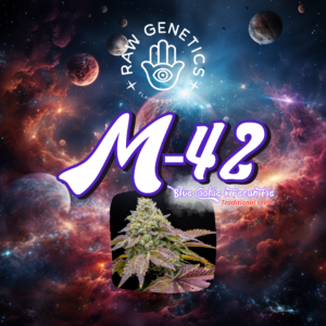 M-42