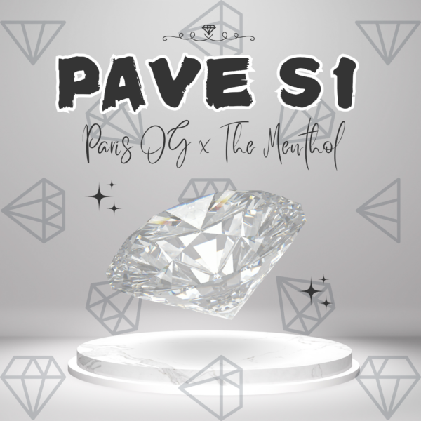 Pave S1 Strain by Raw Genetics (Pavé Strain)