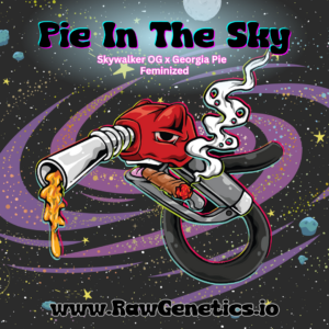 Pie In The Sky
