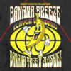 Banana Breeze Strain by Raw Genetics (Banana Tree x Zlushiez)