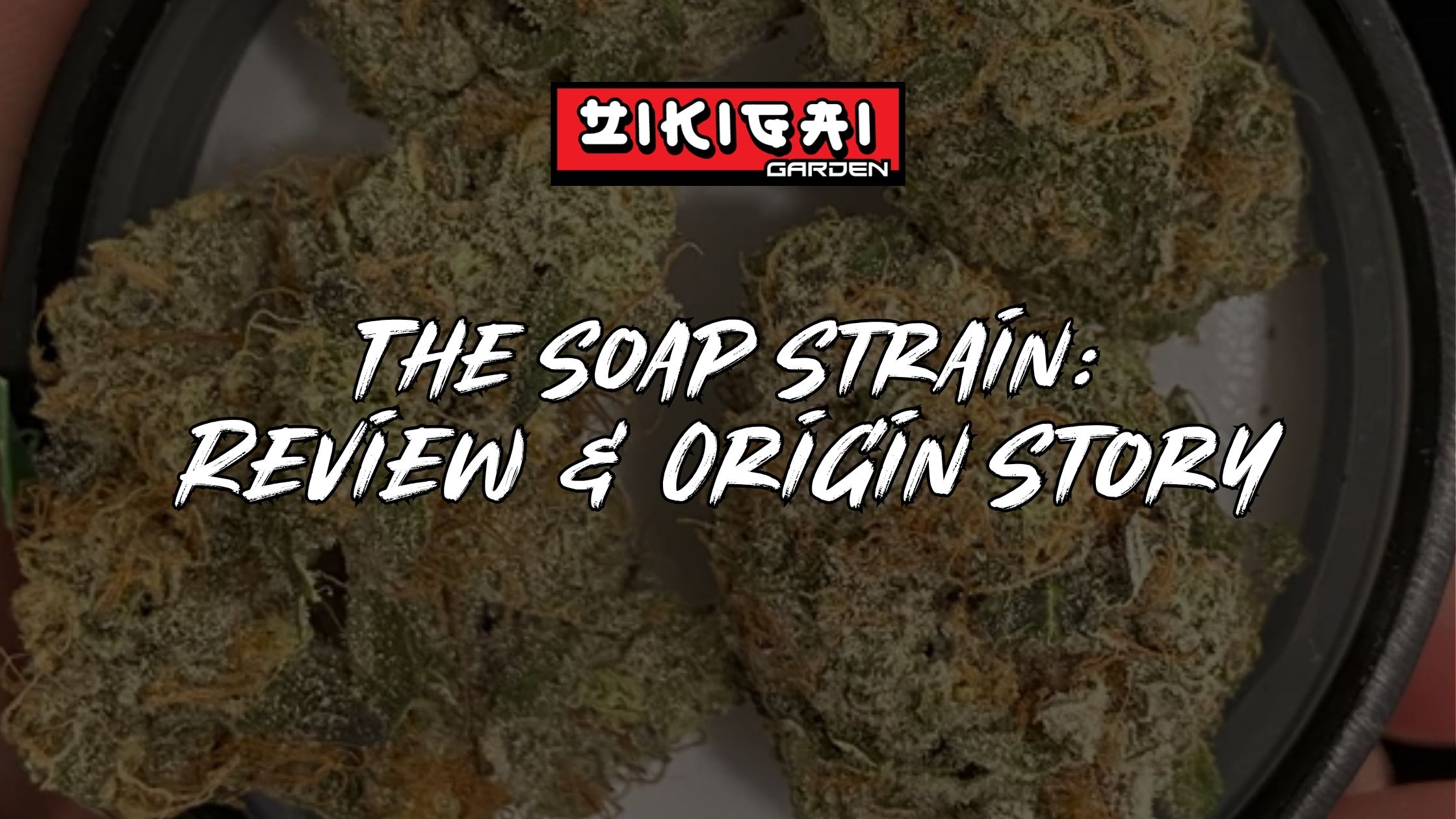 The Soap Strain Review