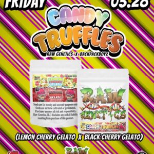candy truffles art