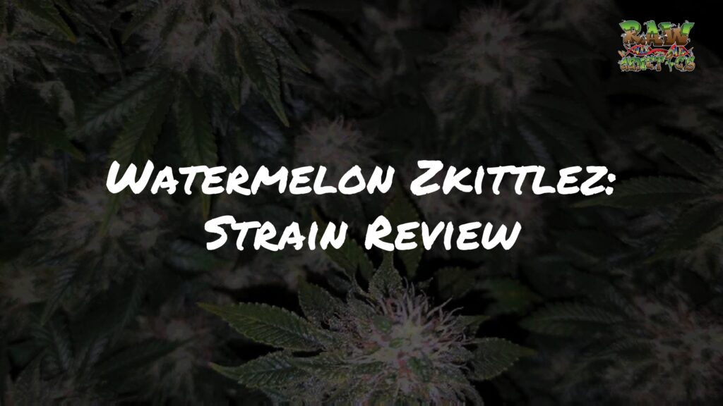 Watermelon Zkittlez Strain Review by Raw Genetics