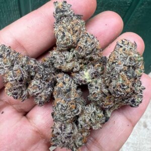 Candy Runtz Strain Review + Origin Story | Raw Genetics