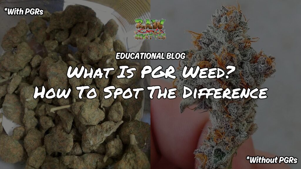 What is PGR Weed? How To Spot The Difference