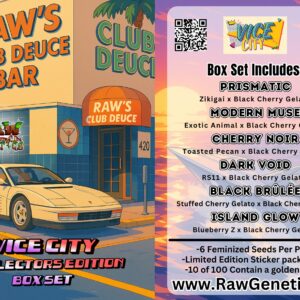 vice city artwork