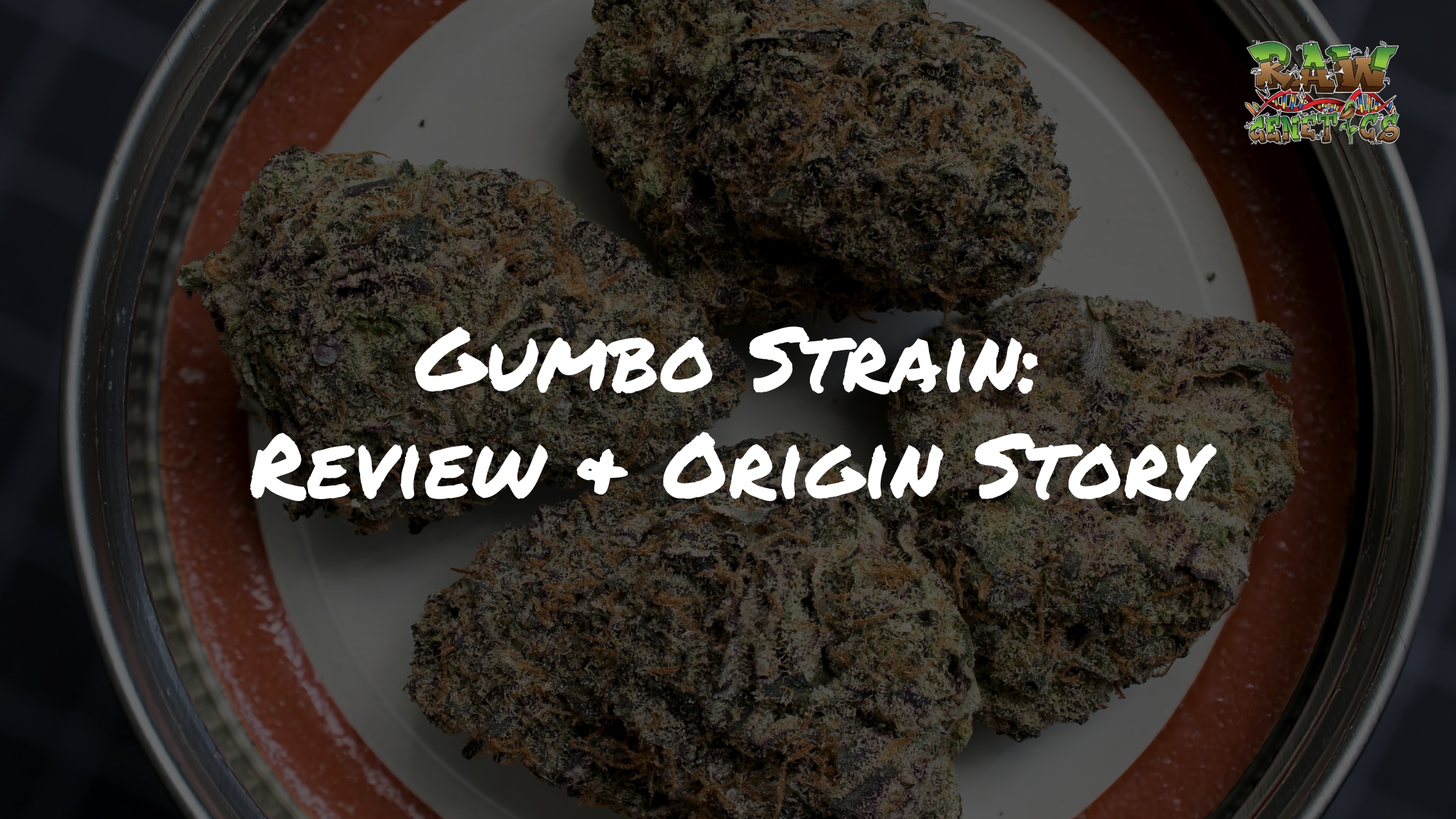 Gumbo Strain Review + Origin Story by Raw Genetics