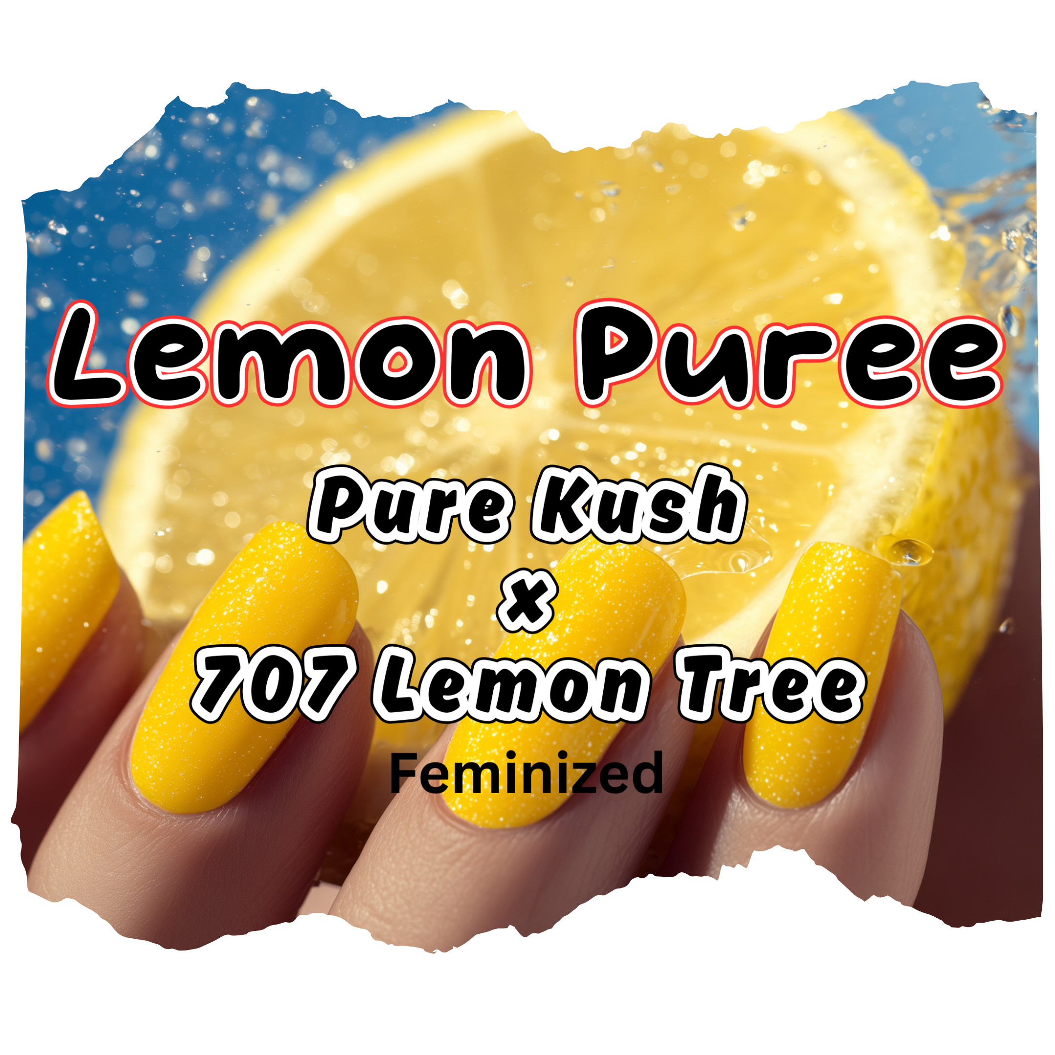 lemon puree artwork