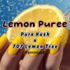 Lemon Puree Strain by Raw Genetics (Pure Kush x 707 Lemon Tree)