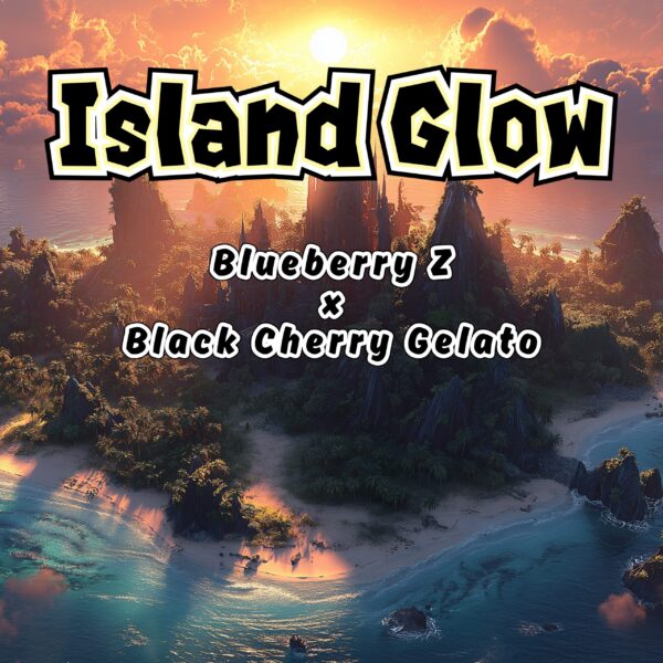 Island Glow Strain by Raw Genetics (Blueberry Z x Black Cherry Gelato)