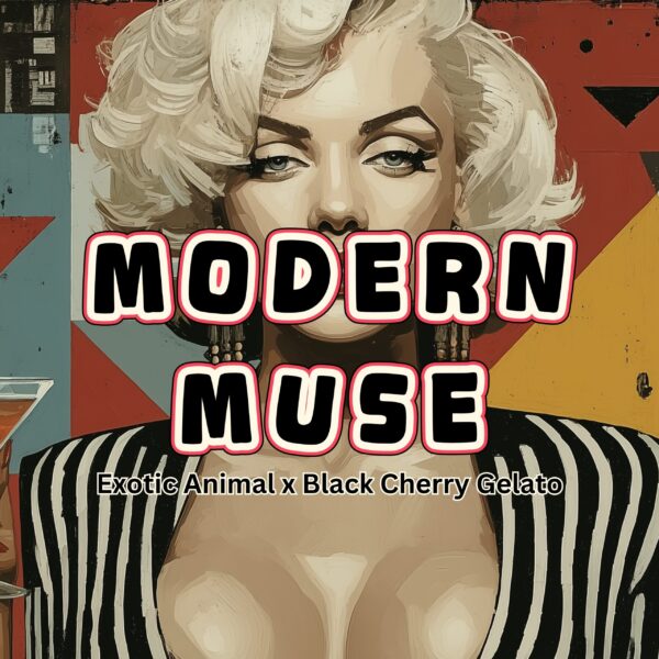 MODEERN MUSE STRAIN PICTURE