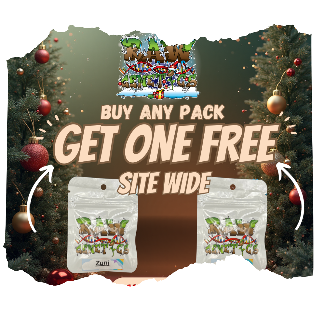 Buy one get one promo