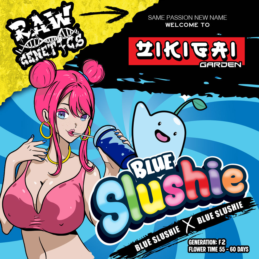 blue slushie f2