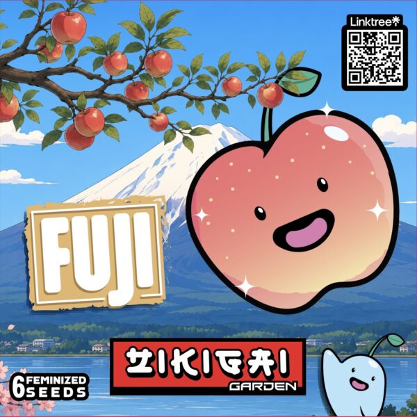 Fuji Strain Seeds by Zikigai Garden
