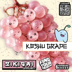 Koshu Grape Strain by Zikigai Garden