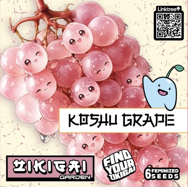 Koshu Grape Strain by Zikigai Garden