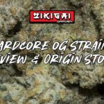 Hardcore OG strain review by Zikigai Garden