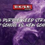Our Top 6 Purple Weed Strains